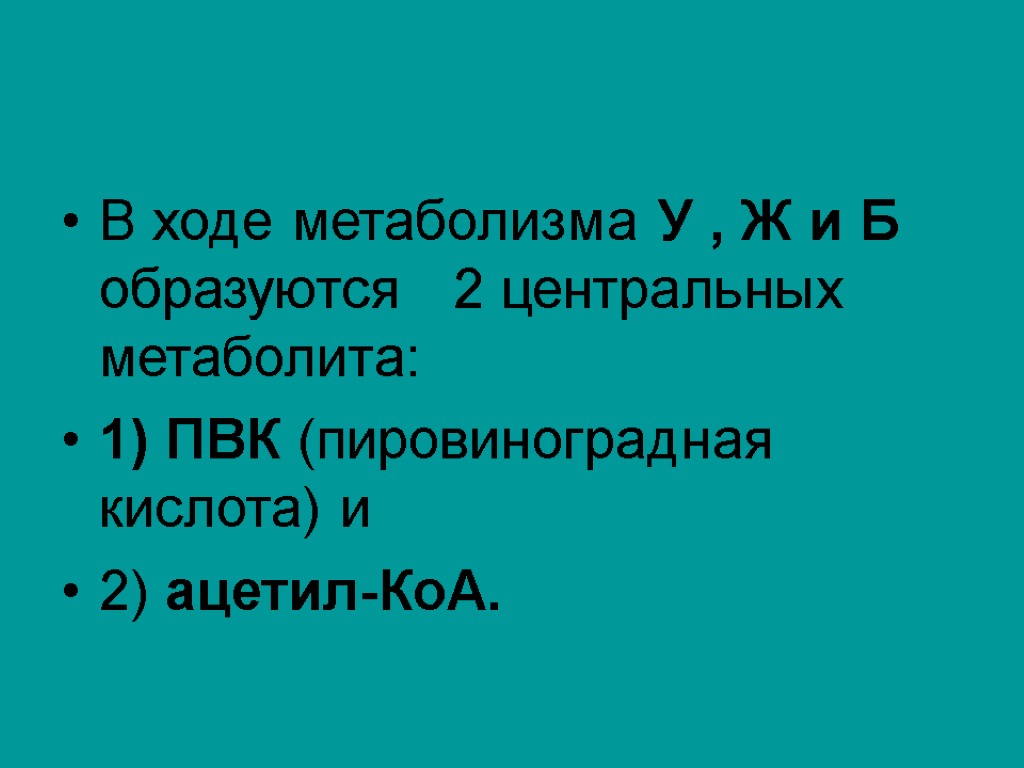 В ходе метаболизма У , Ж и Б образуются 2 центральных метаболита: 1) ПВК